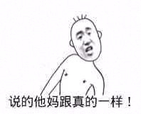 说的他妈跟真的一样