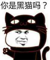 你是黑猫吗？（教皇）