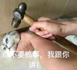 你不要搞事，我跟你讲！（小猫）