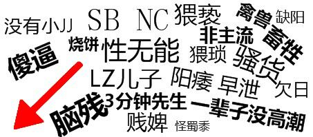 没有小JJ、SB、NC、猥亵、禽兽、傻逼、烧饼、性无能！