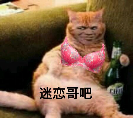 迷恋哥吧！（教皇小猫）