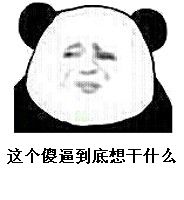 这个傻逼到底想干什么！