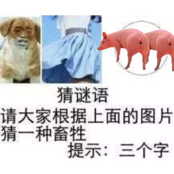 猜谜语，请大家根据上面的图片猜一种畜牲，提示：三个字