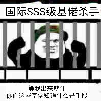 国际SSS级基佬杀手！（熊猫人囚车）