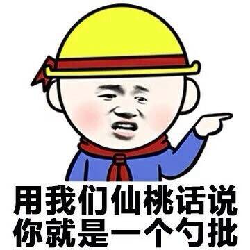 用我们仙桃话说你就是一个勺批！