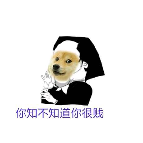 你知道不知道你很贱！（DOGE）