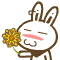 闻菊花！