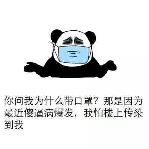 你问我为什么带口罩？那是因为最近傻逼病爆发，我怕楼上传染到我！（熊猫人金馆长 - 斗图啦）