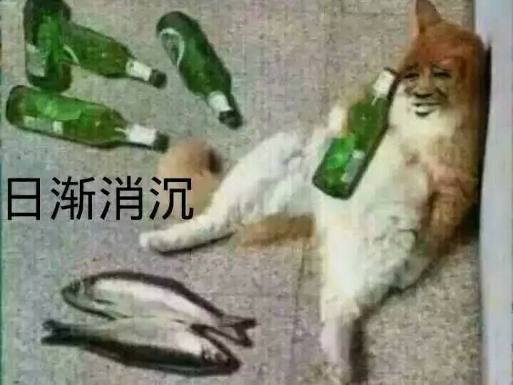 日渐消沉！（小猫喝酒）