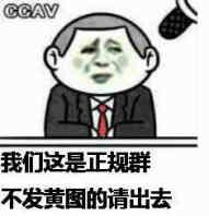 我们这是正规群，不发黄图的请出去！（CCAV）