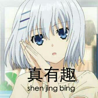 真有趣（shen jing bing）