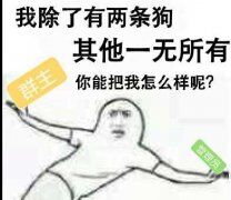 我除了有两条狗，其他一无所有，你能把我怎么样呢？（群主、管理员）