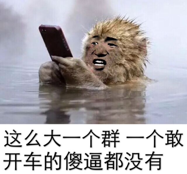 这么大一个群，一个敢开车的傻逼都没有！（猴子炮温泉）