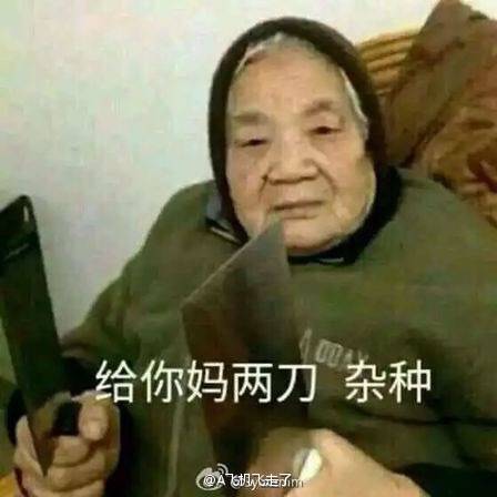 给你妈两刀，杂种！