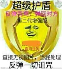 直接无视图片，当屁处理，反弹一切诅咒！（盾牌）