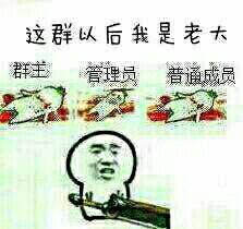 这群以后我是老大