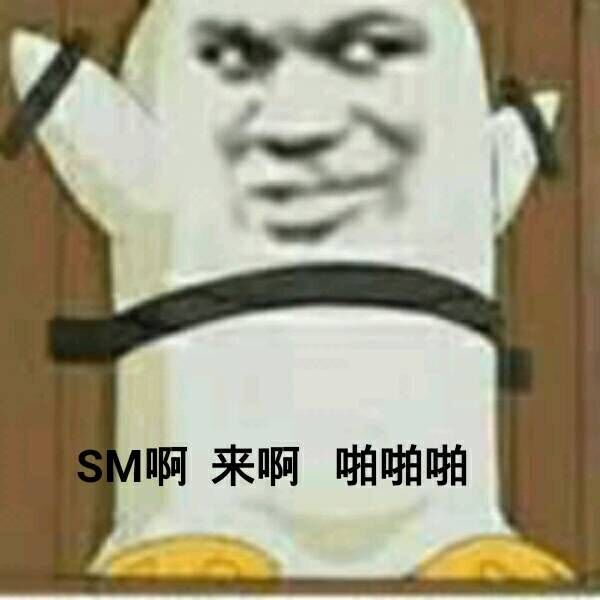 SM啊，来啊，啪啪啪！（教皇）