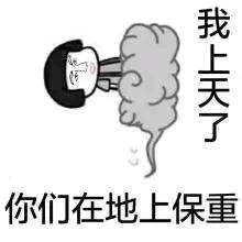 我上天了 你们在地上保重