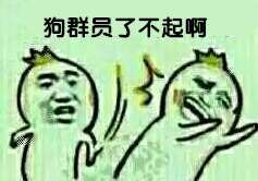 狗群员了不起啊？