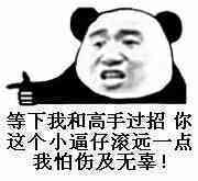 等下我和高手过招，你这个小逼他滚滚远一点我怕伤及无辜！（熊猫人）