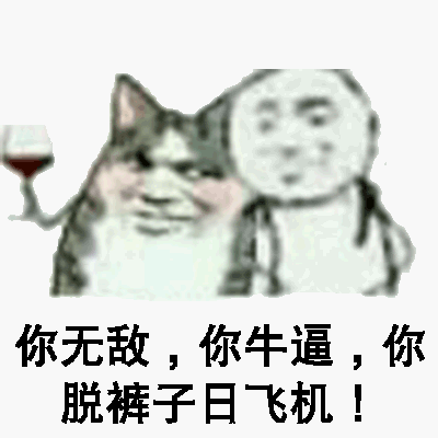 你无敌，你牛逼，你脱被子日飞机！