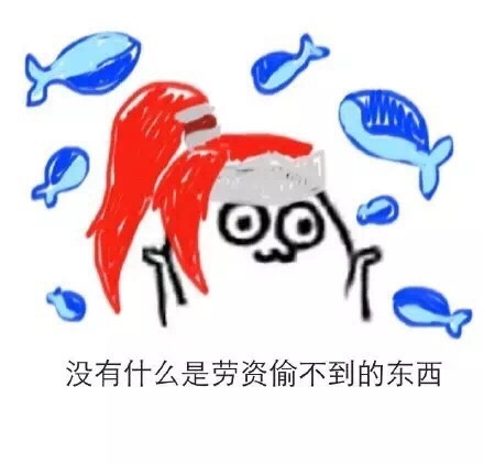 没有什么是劳资偷不到的东西