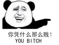 你凭什么那么贱（You bitch）