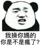 我操你妈的，你是不是疯了？（熊猫）