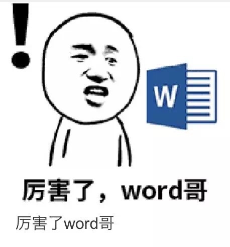 厉害了，word哥！