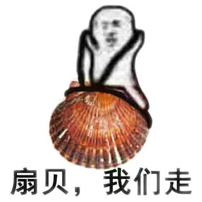 扇贝，我们走