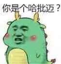 你是个哈批迈？