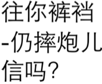 往你裤衩扔摔炮儿信吗？