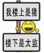 我楼上是猪，楼下是太监！