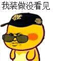 我装做没看见