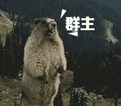 群主啊！（山鼠）