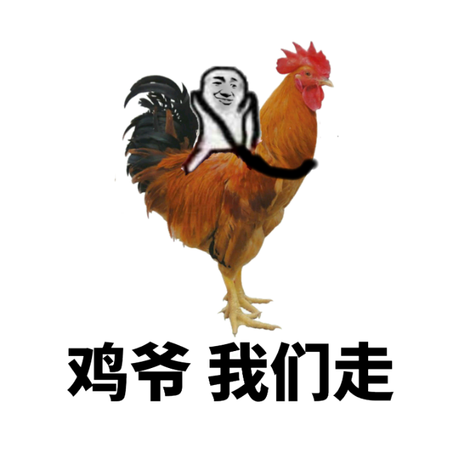 鸡爷，我们走！（公鸡）
