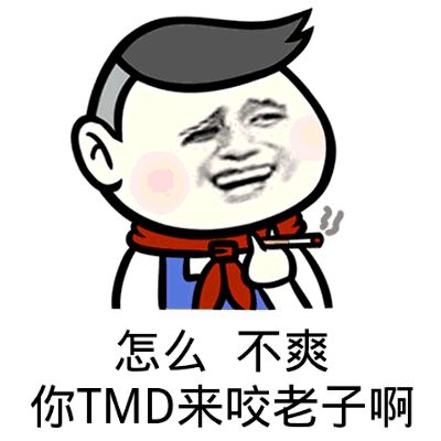 怎么，不爽，你TMD来咬老子啊