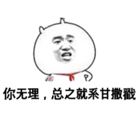 你无理，总之就系甘撒戳！