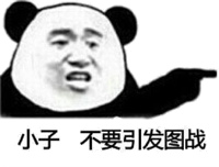 小子，不要引发图战（熊猫）