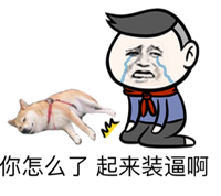 你怎么了，起来装逼啊（狗狗死了）