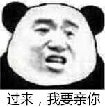 过来，我要亲你（熊猫）