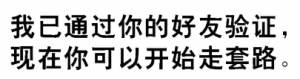 我已通过你的好友验证，现在你可以开始走套路了。（文字表情）