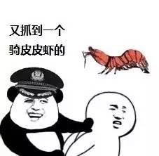 又抓到一个骑皮皮虾的