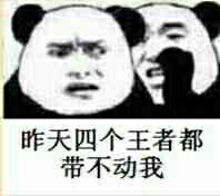 昨天四个王者都带不动我（熊猫）