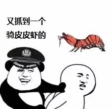 又看到一个骑皮皮虾的