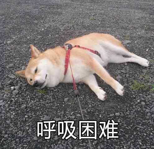 呼吸困难（doge）