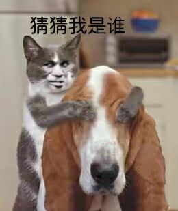 猜猜我是谁！