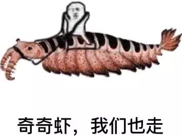 奇奇题，我们也走