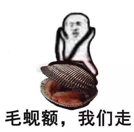 毛蚬额，我们走