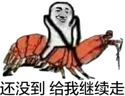 还没到，给我继续走（皮皮虾）